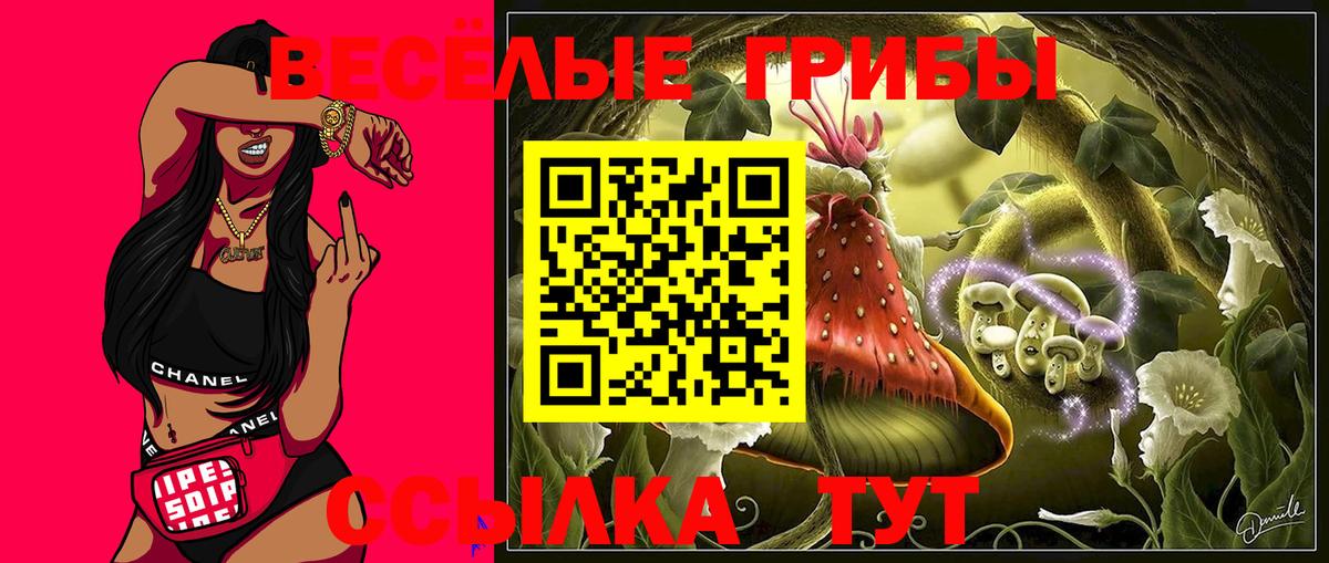 Псилоцибиновые грибы Psilocybe Абинск