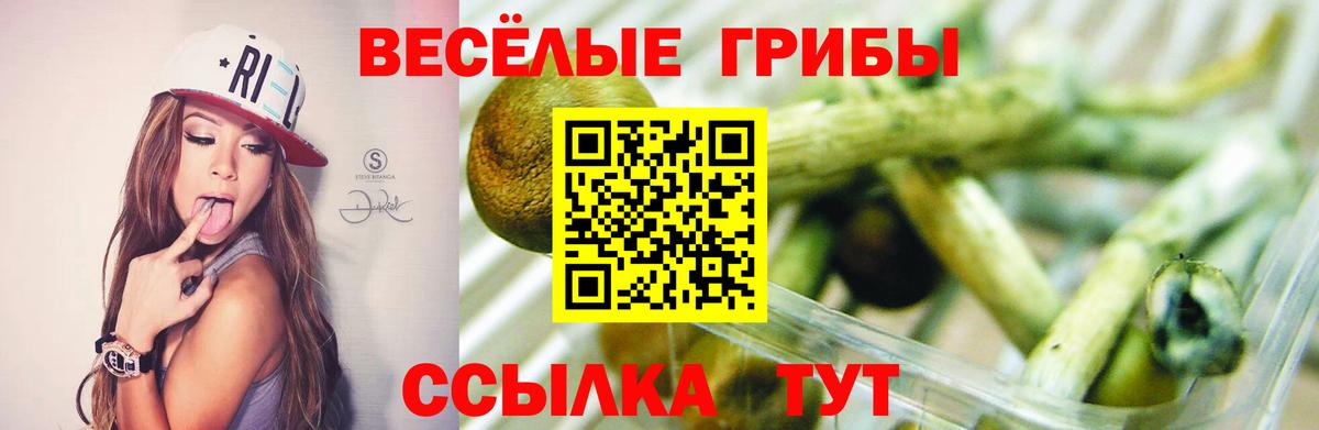 Абинск  Псилоцибиновые грибы Cubensis  Псилоцибиновые грибы ЛСД  Вход с VPN 